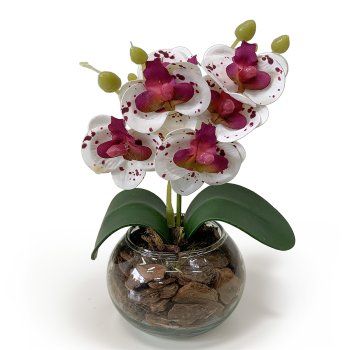 MINI ORQUIDEA PINTADINHA