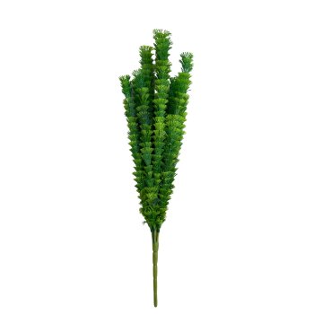 Hastes Verde  56cm