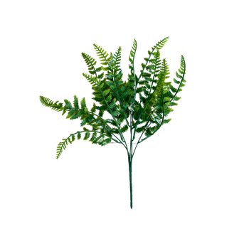 5 Buque Pick Samambaia 38cm