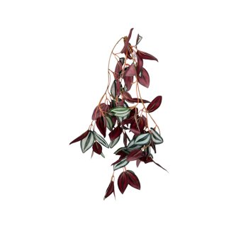 Pendente de Folhagem Fitona 60cm
