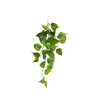 Pendente Folhagem 60cm