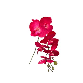 Haste De Orquidea 3D Rosa Pinck 90cm