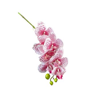 Haste De Orquidea 3D Branco com Pinck Mesclado 80cm