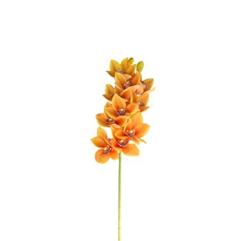 Haste De Orquidea Cymbidium Amarelo Mesclado Com Laranja 80cm