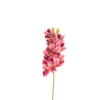 Haste De Orquidea Cymbidium Rosa Mesclado 80cm