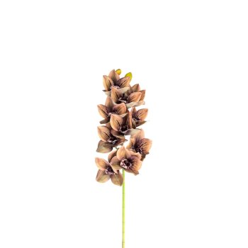 Haste De Orquidea Cymbidium Marrom Mesclado 80cm