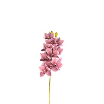 Haste De Orquidea Cymbidium Lilas Mesclado 80cm