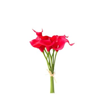 Buque de Cala Vermelho- Copo De Leite 35cm