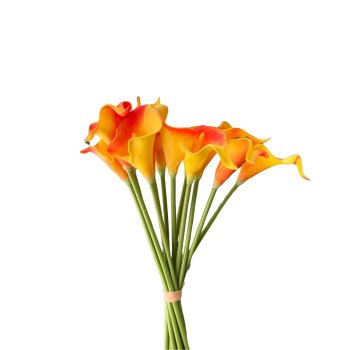 Buque de Cala Amarelo C/ Laranja- Copo De Leite 35cm