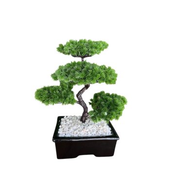 Arvore Bonsai Permanente com 5 Hastes em Vaso de Ceramica Retangular Preto 38cm