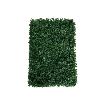 Placa De Grama Buchinho 60x40