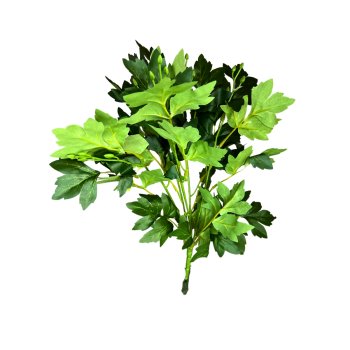 Buque Folha De Peonia 46cm