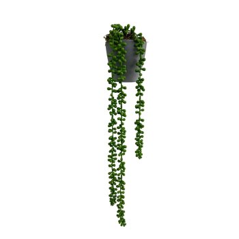 Pendente Verde de Suculenta 70cm