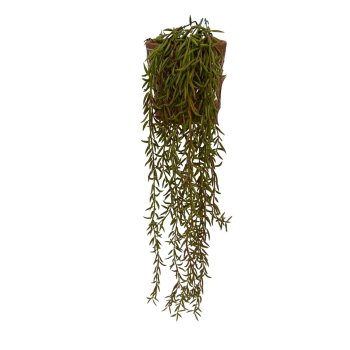 Pendente de suculenta 60cm