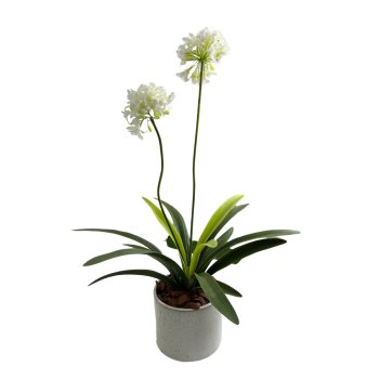 Flor Agapanto Branca 95cm