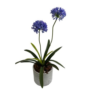 Flor Agapanto Lilas 95cm