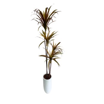 Planta Permanente Árvore Yucca 120cm