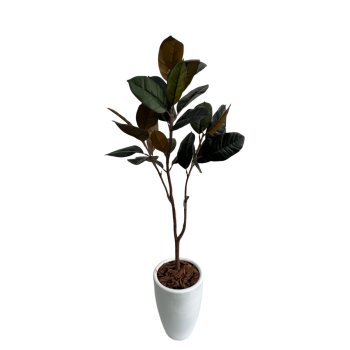 Planta Permanente Árvore de Magnolia 120 cm