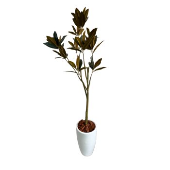 Planta Permanente Árvore Magnólia 160 cm