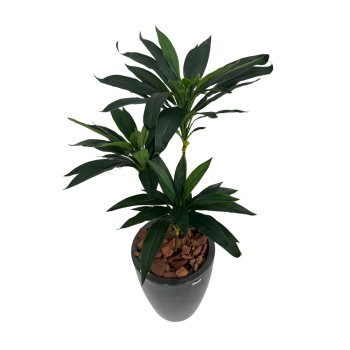 Planta  Permanente  Árvore  Dracena 90 cm