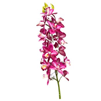 Flor Permanente Orquidea 3D  Pink