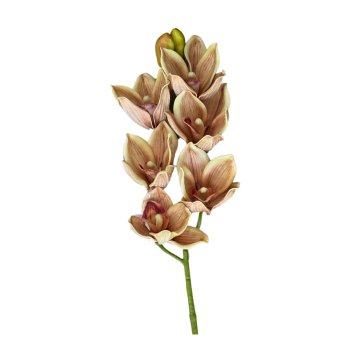 Flor Permanente Orquidea 3D Bege Mesclado