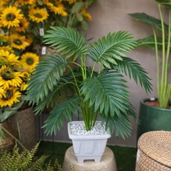 Arranjo Pronto - Coqueirinho 80cm