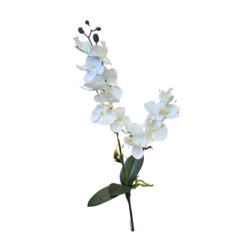 Flor De Orquidea Com Duas Hastes Branca