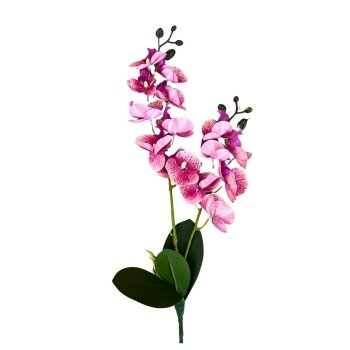Flor De Orquidea Com Duas Hastes Rosa e Pink