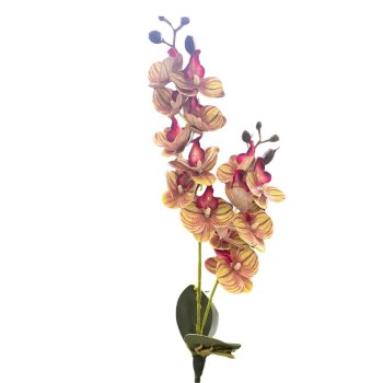 Flor De Orquidea Com Duas Hastes Verde Mesclado