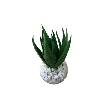 Flor de Suculenta Siliconado